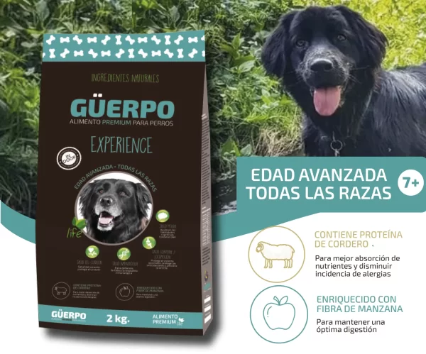 Guerpo Premium Experience